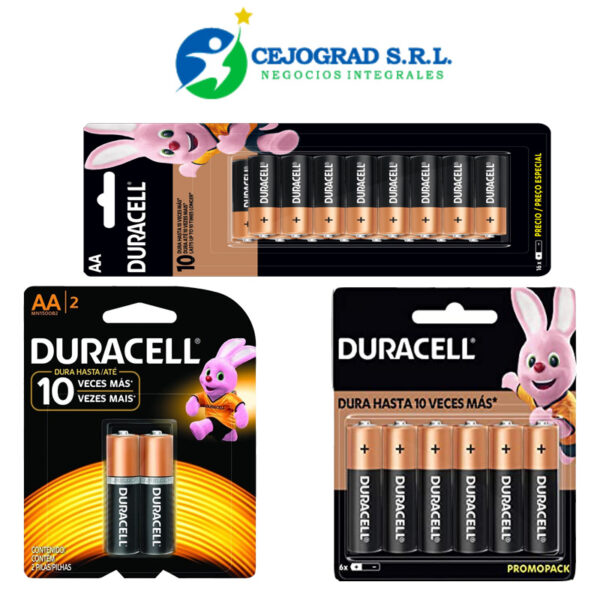 PILAS DURACELL AA